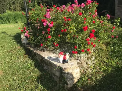 Jardin de l'établissement La Source