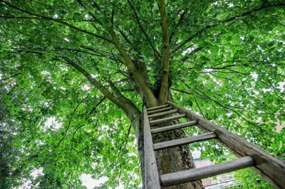 Plan de l'établissement Gite Normandie