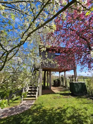 Jardin de l'établissement Au Refuge Des 3 Ours - Chambres d'hôtes et cabanes
