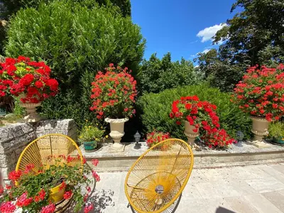 Jardin de l'établissement Manoir des Cavaliers - BnB