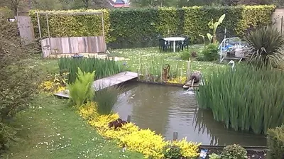 Jardin de l'établissement La Roseraie de Gamaches