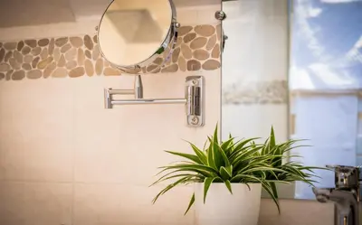 Salle de bains dans l'établissement Le Criollo