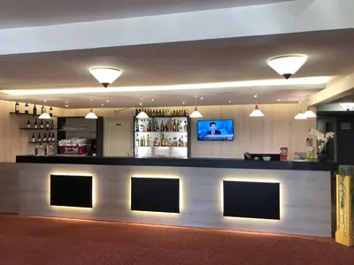 Salon ou bar de l'établissement Logis Hotel Altina