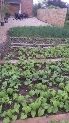 Jardin de l'établissement Gite de la forêt