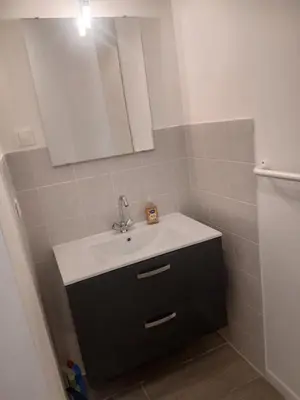Salle de bains dans l'établissement Gite de la forêt