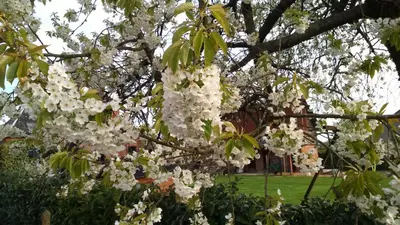 Jardin de l'établissement A la campagne, au calme