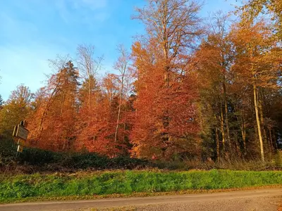 Paysage naturel près de le B&B/chambre d'hôtes