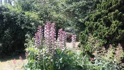 Jardin de l'établissement La maisonnette du Jardin Fleuri