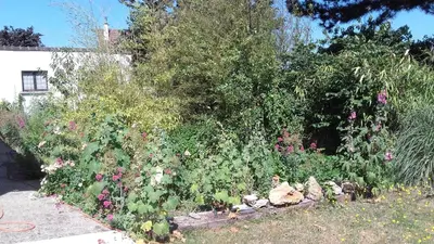 Jardin de l'établissement La maisonnette du Jardin Fleuri