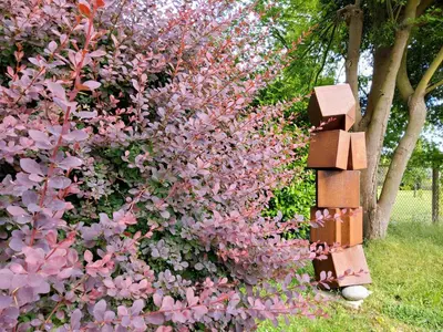 Jardin de l'établissement Gite Dans Parc De Sculptures - Gîte 