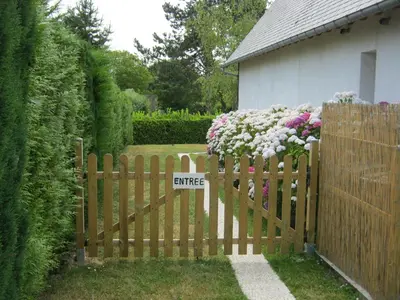 Jardin de l'établissement Gîte des Pins Penchés