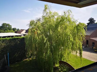 Jardin de l'établissement Gite a la Ferme - Baie de Somme