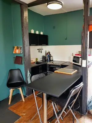 Cuisine ou kitchenette dans l'établissement Appartement typique Rouen centre avec parking gratuit