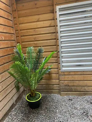 Plan de l'établissement Avec JARDINET sans vis à vis Plein centre ville au RDC 350m de la plage