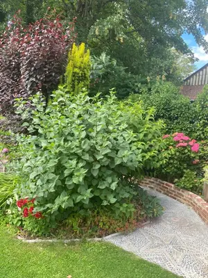 Jardin de l'établissement Gite au bord du Lac