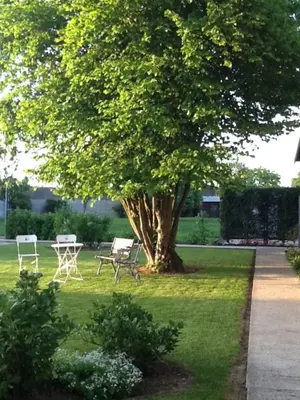 Jardin de l'établissement Les Chambres de Paule
