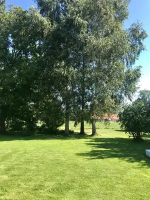 Jardin de l'établissement La Marokanette