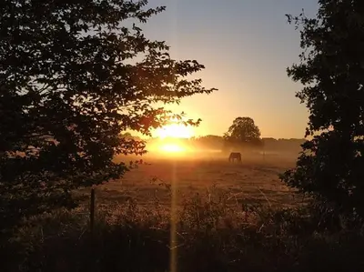 Lever ou coucher de soleil vu de la maison de vacances ou à proximité