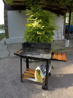 Jardin de l'établissement La maison des pêcheurs