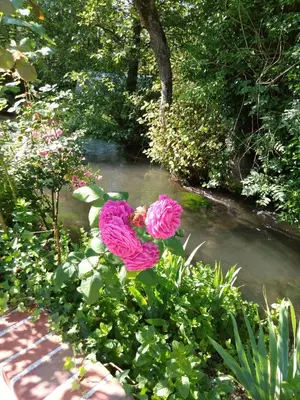 Jardin de l'établissement Le Moulin des Roses