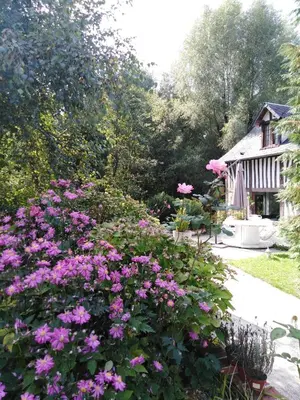 Jardin de l'établissement Le Moulin des Roses