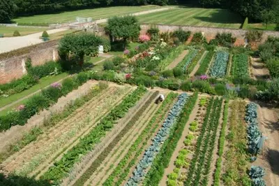 Jardin de l'établissement Château de Miromesnil