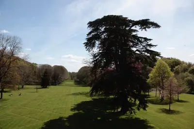 Jardin de l'établissement Château de Miromesnil