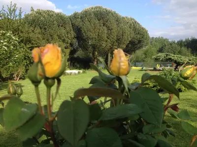 Jardin de l'établissement La maison du lac