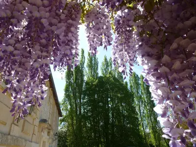 Jardin de l'établissement Gite et Chambres d'Hôtes Clos de Mondetour