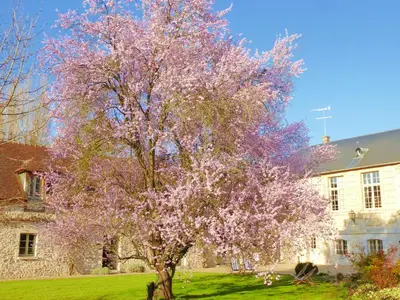 Jardin de l'établissement Gite et Chambres d'Hôtes Clos de Mondetour