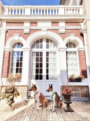Plan de l'établissement Au Jardin des Deux Ponts