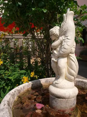 Jardin de l'établissement Hôtel Moderne