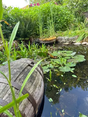 Jardin de l'établissement Le Temps d'un Rêve