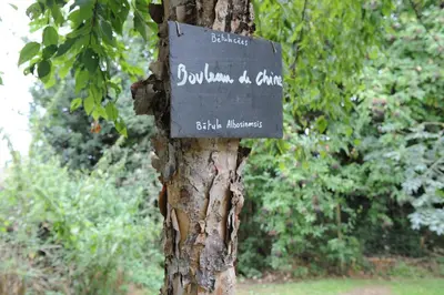 Jardin de l'établissement Gîte au Temps des Buis