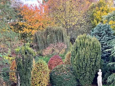 Jardin de l'établissement Gîte au Temps des Buis