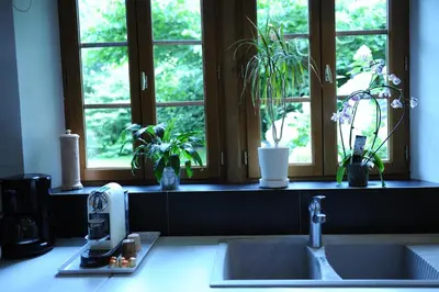 Jardin de l'établissement Gîte au Temps des Buis
