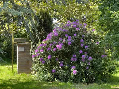 Jardin de l'établissement Gîte au Temps des Buis