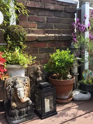 Jardin de l'établissement DUPLEX 52m2 hyper centre, petite TERRASSE exposée Sud