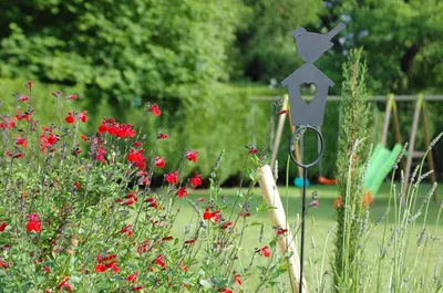 Jardin de l'établissement Le clos du mont César