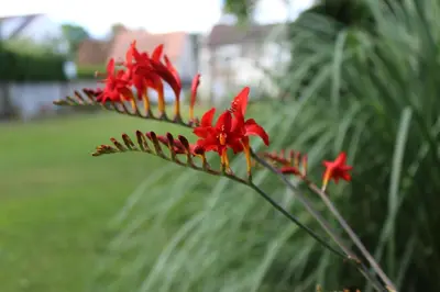 Jardin de l'établissement Le clos du mont César