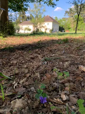 Jardin de l'établissement Domaine de Beauvilliers