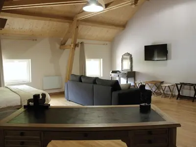 Télévision ou salle de divertissement dans l'établissement Le Domaine de Montchevreuil