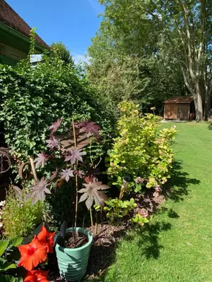 Jardin de l'établissement L'Orée de Giverny