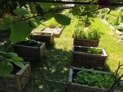 Jardin de l'établissement L'Orée de Giverny