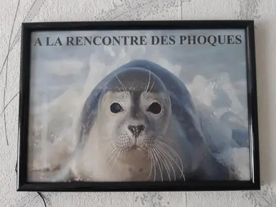 Animaux dans l'appartement ou à proximité