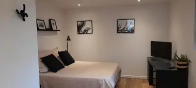 Télévision ou salle de divertissement dans l'établissement Studio avec jardin et stationnement gratuit à Rouen