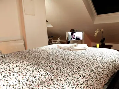 Un ou plusieurs lits dans un hébergement de l'établissement Appartements Up & Down by Beds76