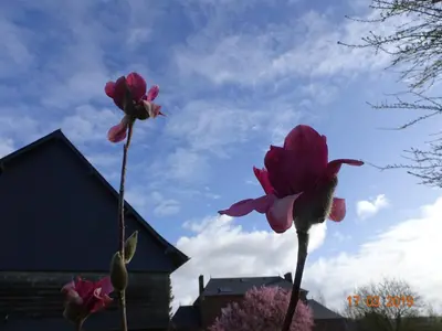 Jardin de l'établissement LE PETIT MARAIS