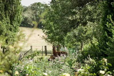 Paysage naturel près de l'appartement