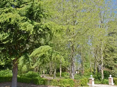 Jardin de l'établissement B&B du Pré-Boulay